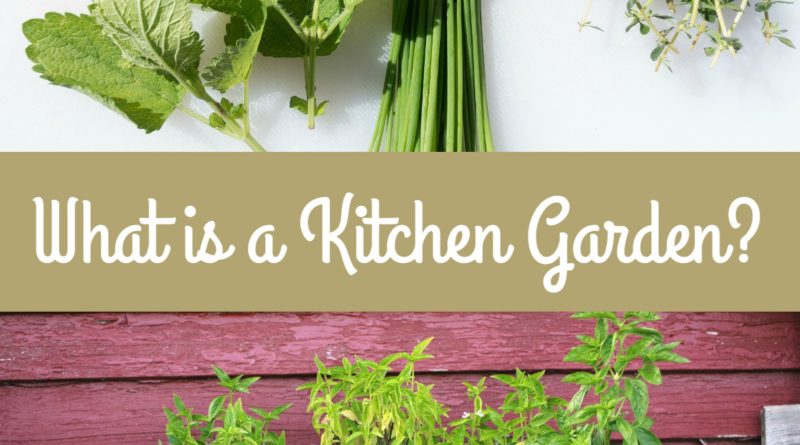 What is a Kitchen Garden?