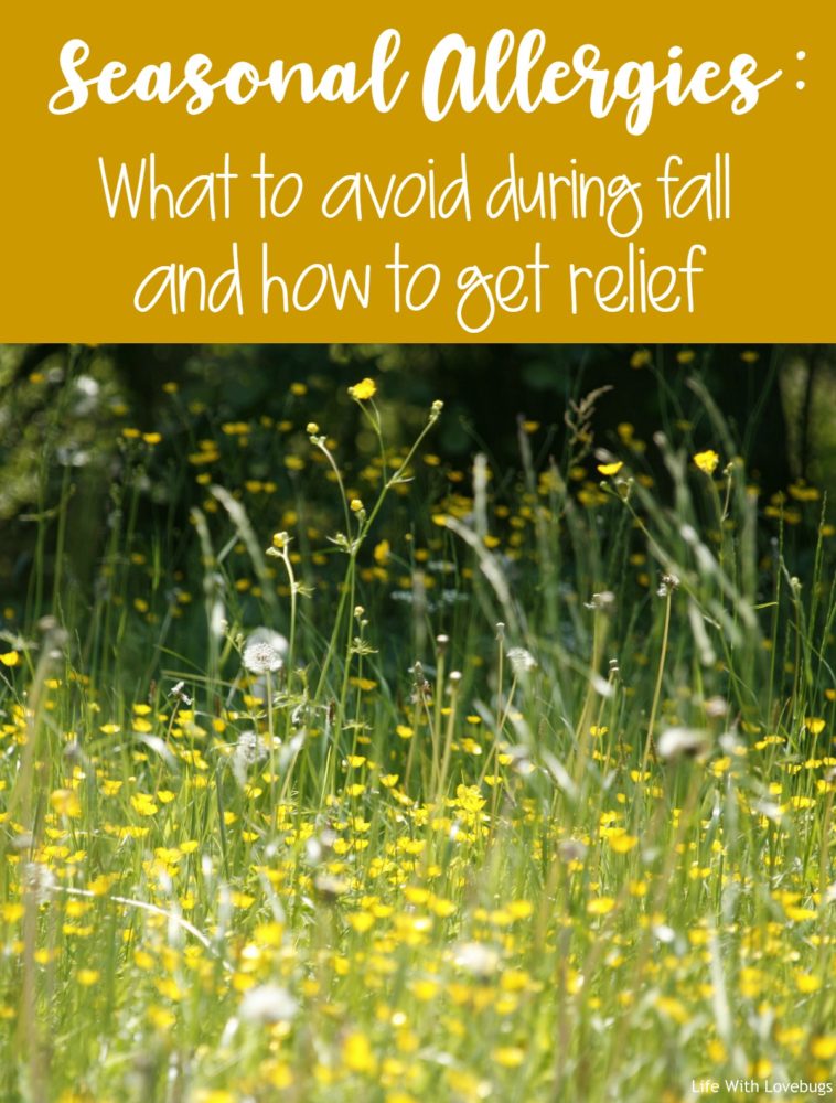 Seasonal Allergies: What to avoid during fall and how to get relief!