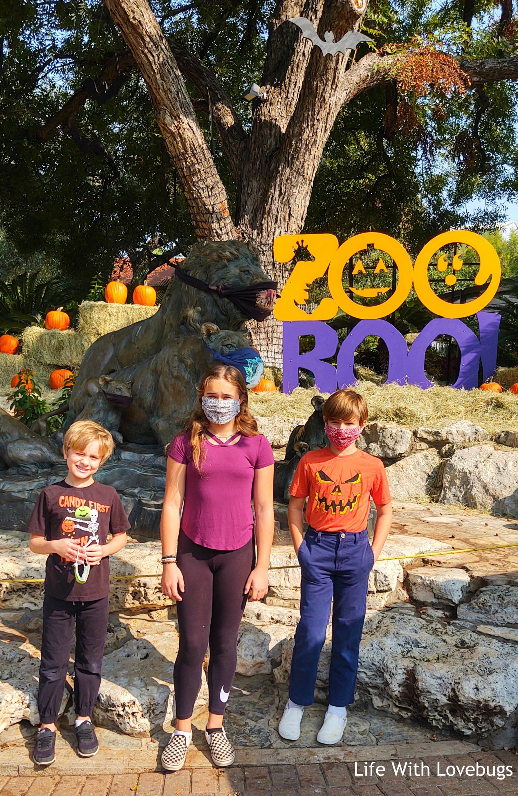 San Antonio Zoo Family-Friendly Halloween Event Zoo Boo!