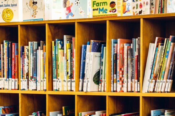 Summer Reading Books for Grades K-8