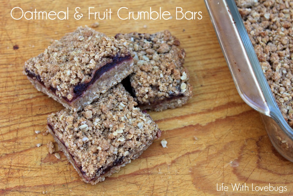 Oatmeal and Fruit Crumble Bars