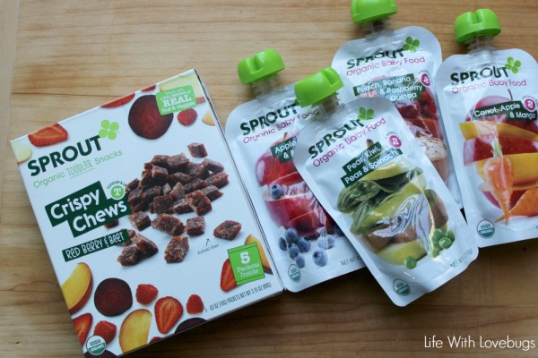 On The Go Snack Box Ideas