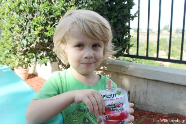 On The Go Snack Box Ideas