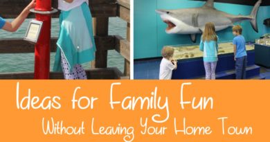 Ideas for Family Fun Without Leaving Your Home Town