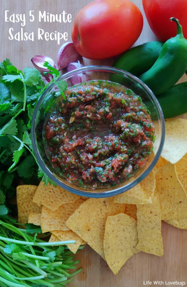 Easy 5 Minute Salsa Recipe