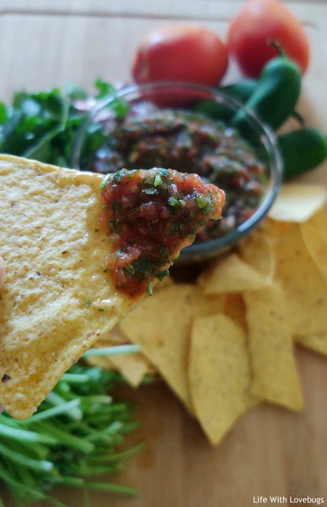 Easy 5 Minute Salsa Recipe